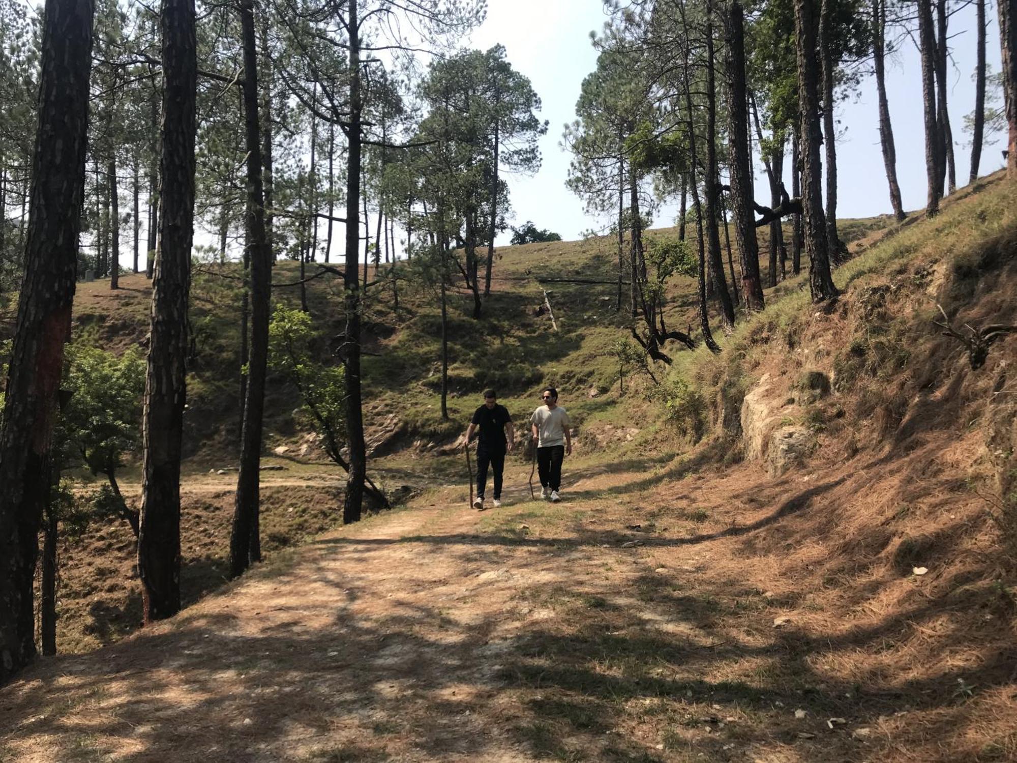 Simba Jungle Lodge, Binsar Wildlife Sanctuary Eksteriør billede