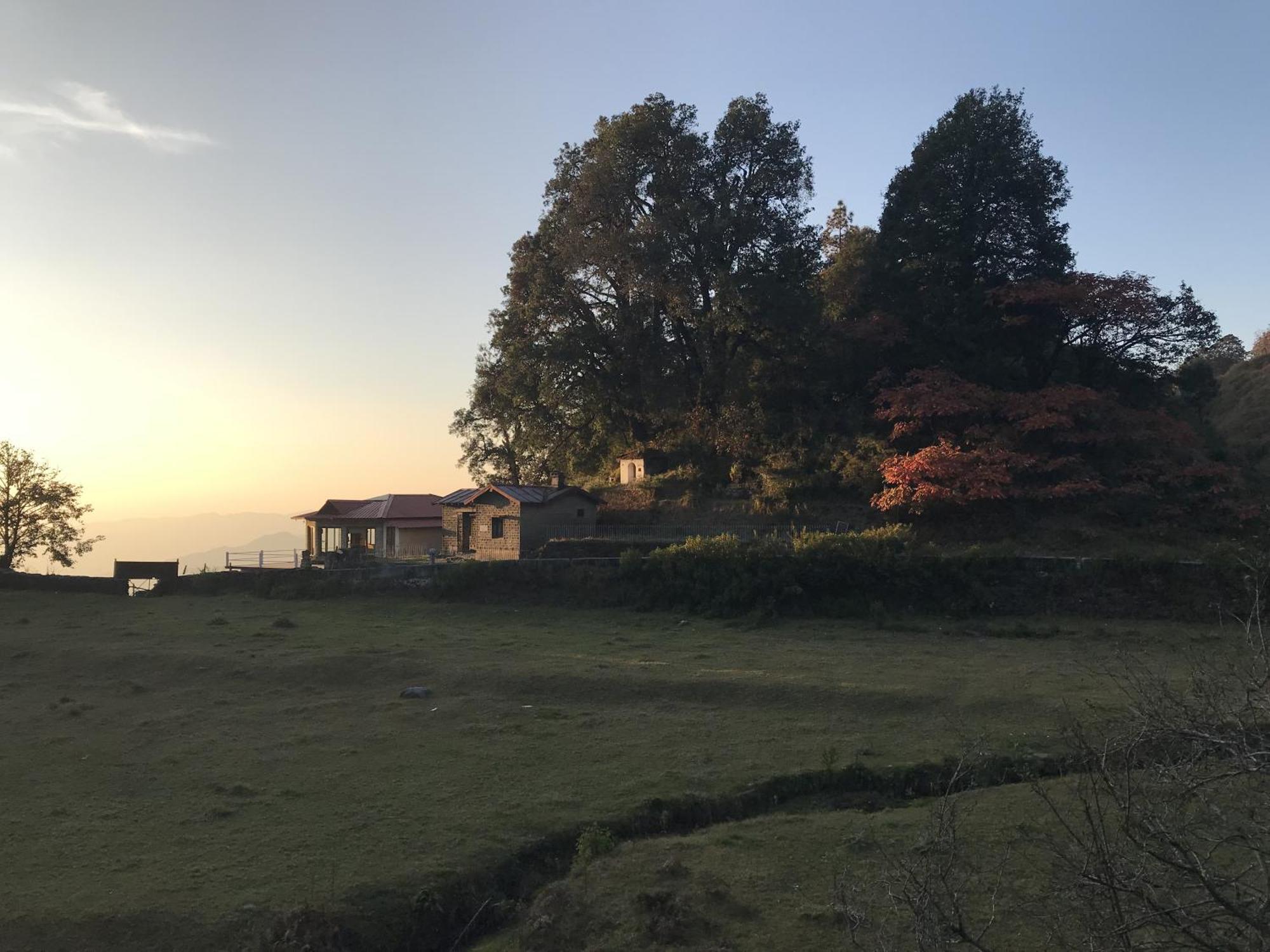 Simba Jungle Lodge, Binsar Wildlife Sanctuary Eksteriør billede