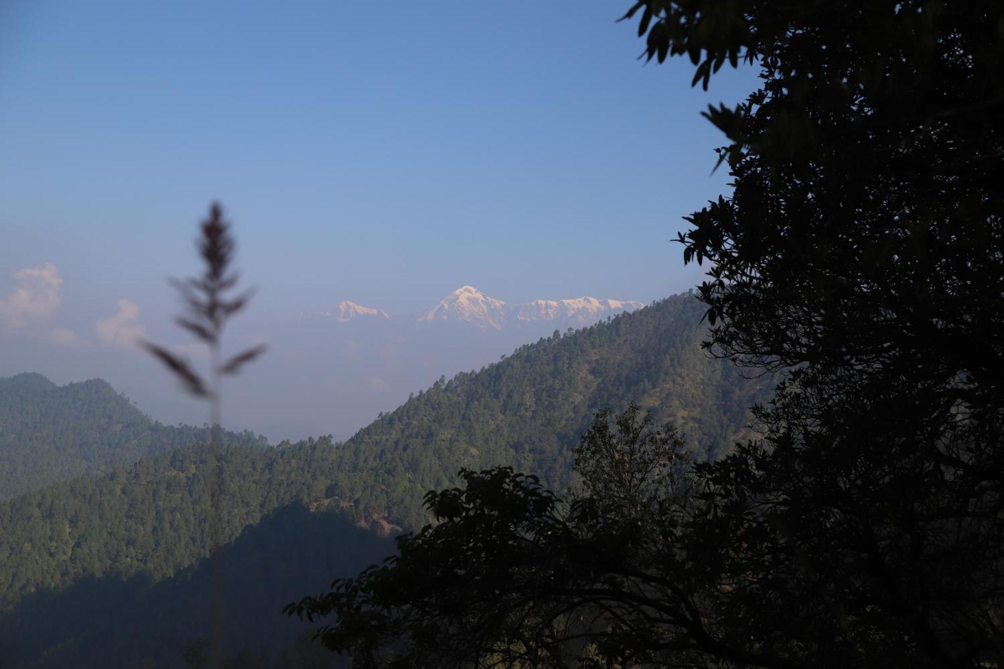 Simba Jungle Lodge, Binsar Wildlife Sanctuary Eksteriør billede
