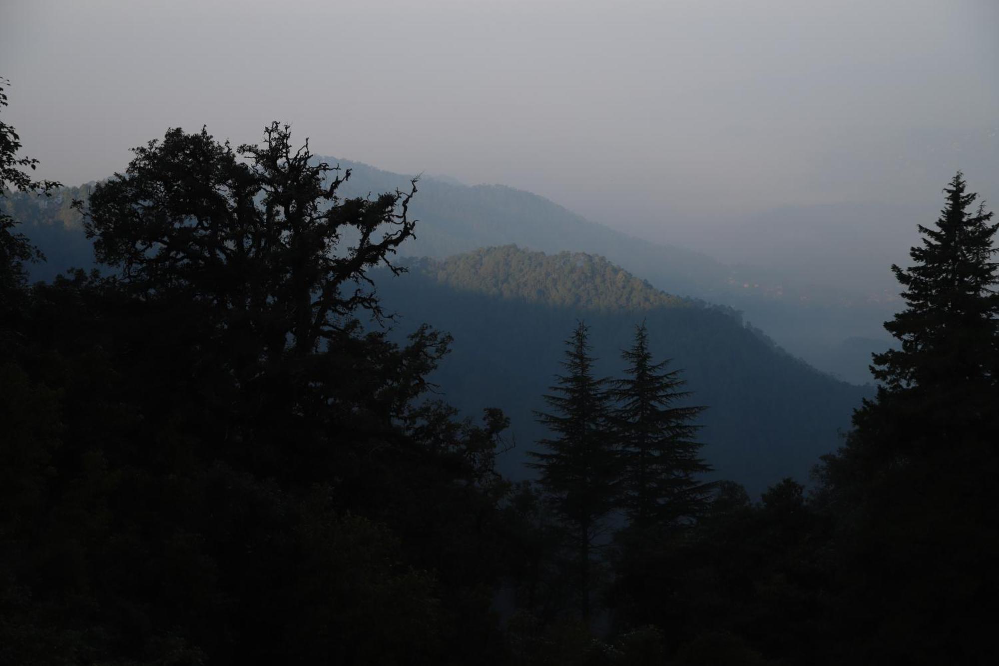 Simba Jungle Lodge, Binsar Wildlife Sanctuary Eksteriør billede