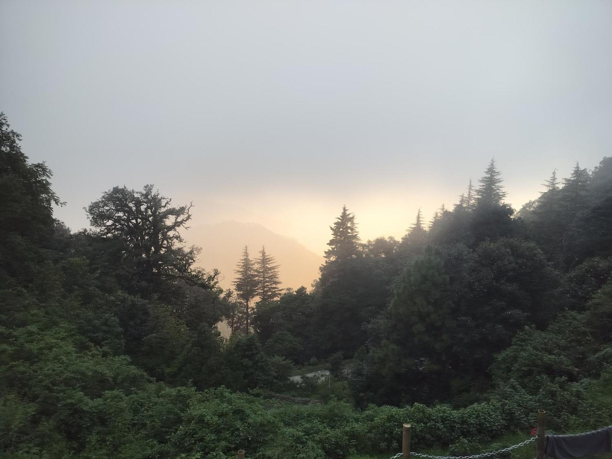 Simba Jungle Lodge, Binsar Wildlife Sanctuary Eksteriør billede