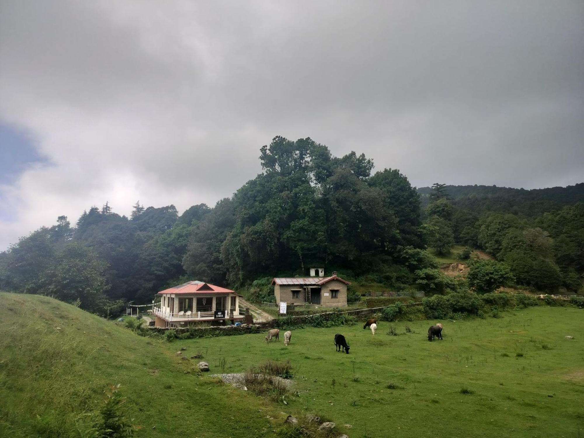 Simba Jungle Lodge, Binsar Wildlife Sanctuary Eksteriør billede